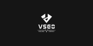 VSGO V-BP02 Black Snipe 16L commuting camera backpack
