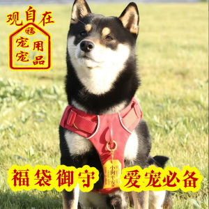 Pet Health Lucky Charm Bag for Dogs And Cats Safe Guard Fragrance Pouch Birthday Gift Decoration Hanging Tag General Purpose