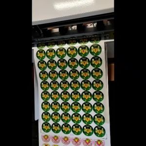 [100PCS] GENDER REVEAL BABY SHOWER STICKER