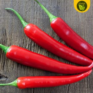 20 -30 seeds for planting binhi pantanim sili labuyo herb