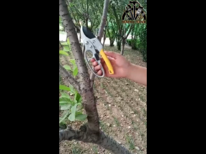 GUNTING DAHAN HD RATCHET 200MM GUNTING KEMBANG KREK 8" INCI SUPER GUNTING KEBUN RACHET BAJA SK5 UKURAN 8 INCH IN DIM