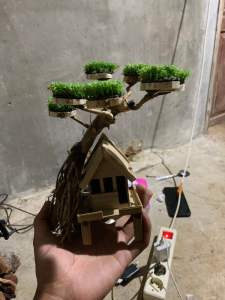 rumah pohon bonsai moss sintetis aquascape