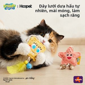 HOOPET | Entertainment Cat Wand Toy for Self-Play and Boredom Relief