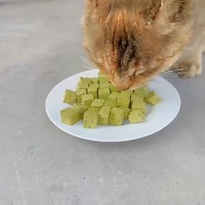 Freeze Dried Pure Raw Meat Chicken Cat Grass Cube Stick Hairball Removal Control Cat Dog Treats Snack Booster Molar 30G