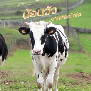 โลชั่นน้ํานมผิวเด้ง ฟาริส ฮอกไกโด มิลค์ วิธ อะเซโลร่า เชอร์รี่ 200 มล. / Faris Hokkaido Milk Body Serum with Acerola Cherry 200 ml.