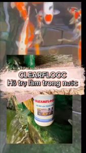 CLEARFLOCC Hỗ trợ làm trong nước