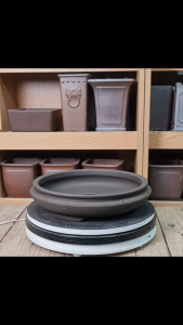 Ang bi cát gốm tàu kích thước miệng 30cm cao 7cm chậu cảnh gốm tàu.