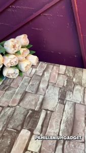 ORIGINAL MOXOM MX-AX20 Type-C to Type-C Charge Adapter - 3A 15W Fast Charging with Audio Support