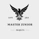 Master Junior Projects