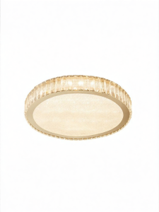 LAIDENG | Intelligent Simple and Modern Round Square Ceiling Light