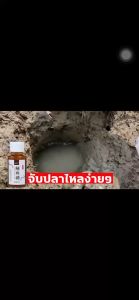 เข้มข้น 1หยดได้กลิ่นมาเป็นฝูง หัวเชื้อปลาไหล สิ่งล่อใจที่แข็งแกร่ง เหยื่อปลาไหล เชี่ยวชาญในราชาปลาไหล หัวเชื้อดักปลาไหล จับปลาไหลเร็ว สำหรับปลาไหล สิ่งล่อใจที่แข็งแกร่ง หัวเชื้อล่อปลาไหล ล่อปลาอย่างรวดเร็ว