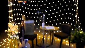 METECH Waterproof Solar Mesh Light 240 LED Curtain Light Outdoor Waterproof Garden Christmas Lights