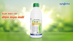 Thuốc trừ bệnh Anvil 5SC Syngenta - trừ bệnh phổ rộng thương hiệu cao cấp - 100ml
