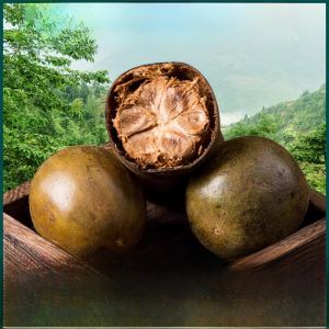 Wild Holy Loquat Dry Fruit Water Soaking Guilin Specialty Guangxi Yongfu Holy Loquat Tea Bulk Holy Loquat Snack/Nuts/Local Specialties