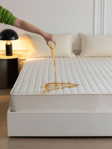 New Waterproof Cotton Quilted Bed Canopy Heightened Single Piece Mattress Protector Cover for Home Use Naked Sleep Bed Canopy