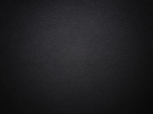 TUFF TUF-MRS302 Pink Birds and Roses Vintage Drawing Retro Style Muay Thai Boxing Shorts