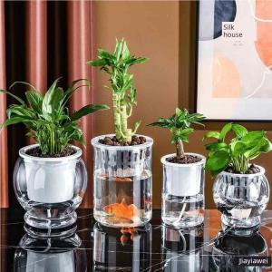 TEKANAI | Clear Cylindrical Hydroponic Vase