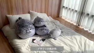 หมอนรองคอนุ่มและ3D สำหรับเด็ก หมอนสิงโตทะเล boneka mainan นิ่มลายสิงโตทะเลแปลกใหม่ของขวัญสำหรับเด็กผู้หญิง