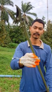 กรรไกรตัดกิ่งไม้ ด้ามสแตนเลส ยาว 1.5เมตร ตัดกิ่งไม้เร็ว อุปกรณ์ตัดแต่งกิ่งมืออาชีพ กรรไกรตัดกิ่งด้ามยาว กรรไกรตัดกิ่งไม้