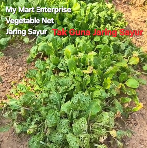 Jaring Serangga Garden Mesh Netting Greenhouse Garden Net Agriculture Protect Fruits Prevent Insects Anti-Birds Net Jaring Putih 果园防虫网