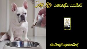 อาหารสุนัข ออลไลฟ์ All Life รสเนื้อแกะ และ สไปรูลิน่า ขนาด 1.5 กก. (เม็ดเล็ก) จำนวน 2 ถุง