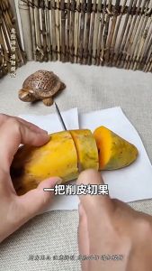Yo-Fun Japanese Fruit Double Knife Non-Control Stainless Steel Knife Fruit Sushi Outdoor Slicing Knife