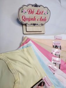 Combo 10 Quần lót Cotton thái BIG SIZE  (1219) Size: 60-75KG Co giản Thoáng mát  - Đồ Lót Quỳnh Anh