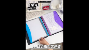 A4 File Bag 11-Hole Binder Pouch Loose Leaf Snap Button Document Organizer Horizontal/Vertical 6pcs
