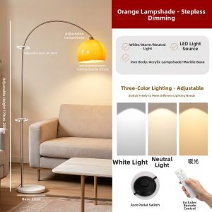No Brand | Decorative Living Room Atmosphere Floor Lamp