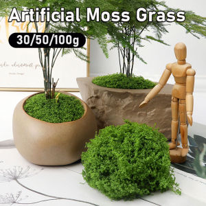 Yespery 100/50/30g Cây Hoa Lá giả cuộc sống vĩnh cửu rêu cỏ đồ trang trí vườn cảnh quan mini hoa giả thủ công tự làm quà tặng