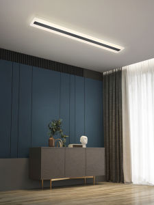 FANZHEN | Modern Minimalist Passage Light Human Induction