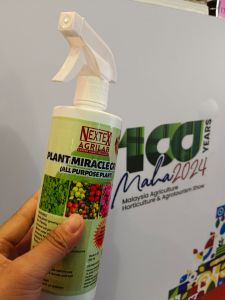 Plant Miracle Grow Fertilizer (All Purpose Plant)