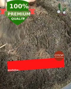 ขี้ไส้เดือน (1kg) สดใหม่ ผลิตใหม่ทุกวัน เกรดพรีเมี่ยม มูลไส้เดือน100% มูลไส้เดือนแท้ มูลไส้เดือนสด อุดมไปด้วยไข่ และ ตัวอ่อน ไส้เดือน