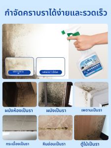 Mold Removal & Prevention Agent for Indoor Walls