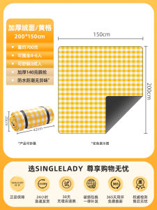 Thickened Portable Folding Picnic Mat Outdoor Camping Hiking Waterproof Moisture Proof Picnic Cloth Spring Outing Ground Pad