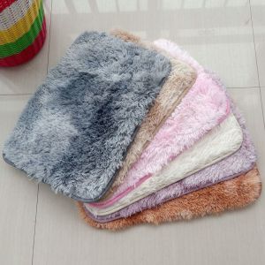 VIKAMA Thick And Plush Bathroom Floor Mat Water Absorbent And Slip-Resistant Bedroom Door Mat Pet Mat Home Decoration
