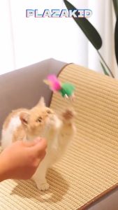 Plazakid Karpet Garukan Kucing Multifungsi Anti Gores Scratcher Mat