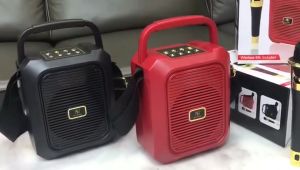 Wireless Bluetooth Speaker + Microphone Karaoke Portable Original SU YOSD YS-A19: Home Indoor Outdoor