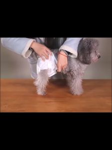 Pet Diaper for Dogs: A Comprehensive Guide