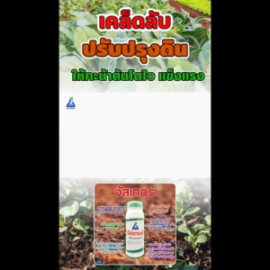 ขนาด 500 ซีซี จัดอัตโนมัติสารปรับปรุงดิน ช่วยแก้ปัญหาเส้นเลือดของดิน สำหรับโฆษณา Acid soil และ pH อันสัก