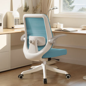 AIDESHENG | Comfort Office Chair