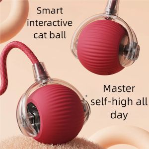Automatic Rolling Ball Interactive Cat Dog Toy Electric Training Tool Imitates Rat Rechargeable Fun Play Supplies For Pets