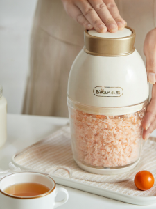 「China Plug」Bear | Multi-Function Meat Grinder Baby Food Maker Small Size
