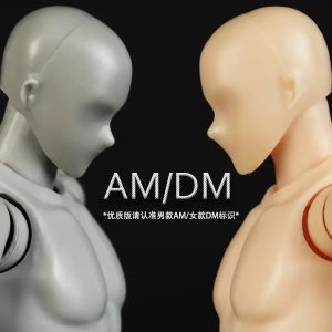 โมเดลการ์ตูนศิลปะ AM/DM แบบเคลื่อนที่ได้สำหรับผู้ชายและผู้หญิง วาดภาพด้วยสีสันสดใส โมเดลที่ทำได้ด้วยมือ โมเดลที่ปรับแต่งได้