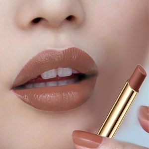 New Arrival Thin Tube Does Not Fade No Stain on Cup Cinnamon Milk Tea Cameo Brown Lipstick Matte Lasting Moisturizing Taupe