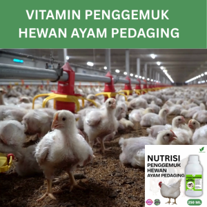 Vitamin Penggemuk Ayam Pedaging Alami 250ml Nafsu Makan Naik Bobot Cepat Bertambah hasil maksimal