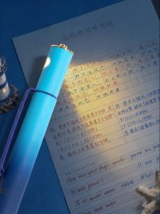 HERO | Heat-erasable Fountain Pen for Students Replaceable Cartridges