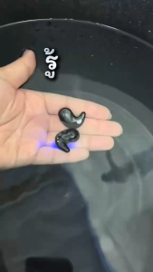 【รับประกัน 1 ปี】2025 ใหม่ X55 TWS บลูทูธ 5.49 หูฟังการออกแบบที่เรียบง่ายไมค์จอแสดงผล LED ลดเสียงรบกวน