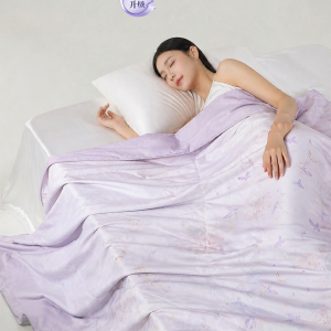 TAIHU SNOW | Silk Summer Air Conditioner Quilt Washable