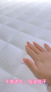 Amour® 8 inch Single/Super Single/Queen Size Spring Mattress / Free delivery / Best In Lazada